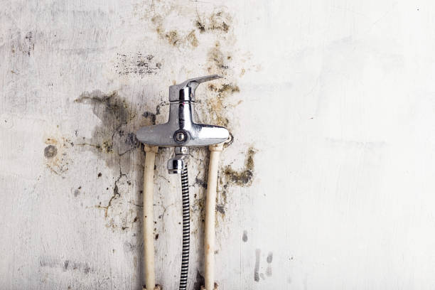 Best Home Mold Removal  in Arbuckle, CA