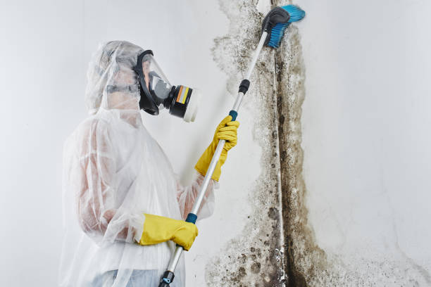 Best Residential Mold Removal  in Arbuckle, CA