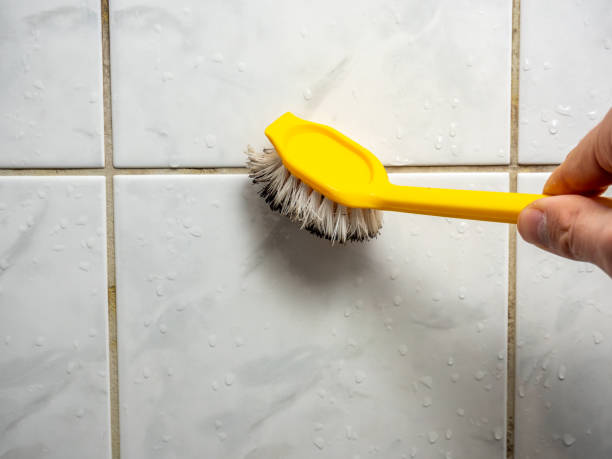 Best Same-Day Mold Removal  in Arbuckle, CA