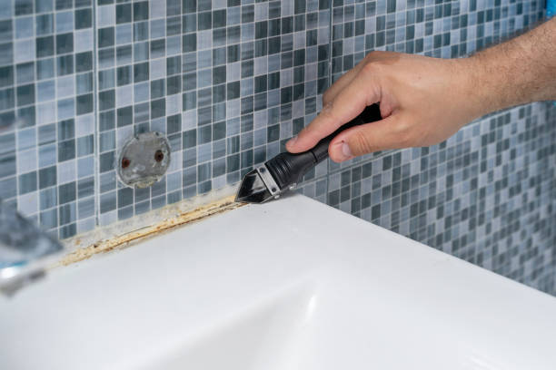 Best Professional Mold Removal  in Arbuckle, CA