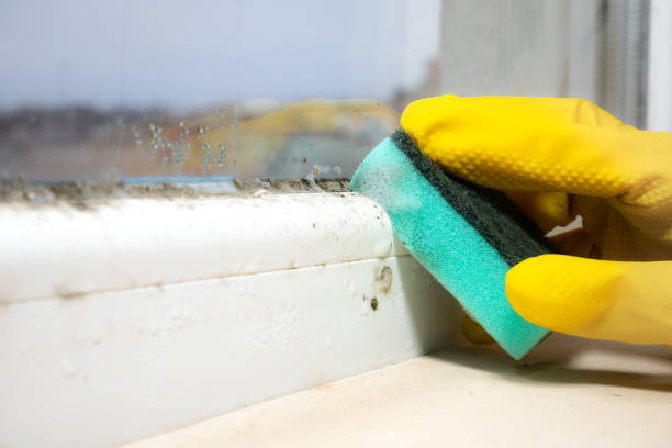 Best Residential Mold Removal  in Arbuckle, CA
